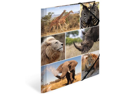[90275635 1503260] HERMA Gummibandmappe A4 Afrika, Karton, mit Innendruck