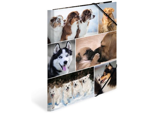 [90275736 1503254] HERMA Gummibandmappe A4 Hunde, Karton, mit Innendruck