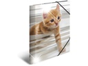 HERMA Gummibandmappe A4 Katzen, Polypropylen, mit Innendruck