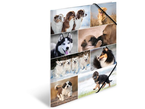 [90275807 1503255] HERMA Gummibandmappe A3 Hunde, Karton, mit Innendruck