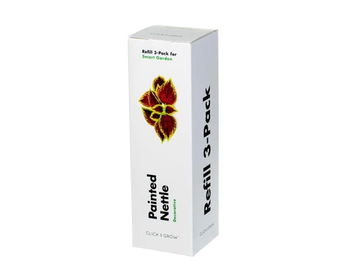 [90047352 429110] Click and Grow Saatgut Buntholzahn