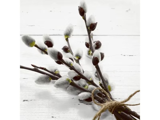 [90280516 1512596] Paper + Design Papierservietten Wild Willow 33 cm x 33 cm, 20 Stück