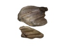 Kaufit Rinderohren, 800 g