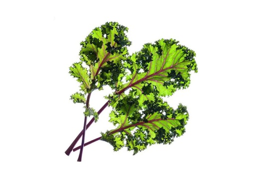 [90047769 709877] Click and Grow Samen Roter Kohl Nachfüllpackung 3er-Set