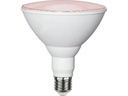Star Trading Leuchtmittel Plant Light 570cd 16 W E27