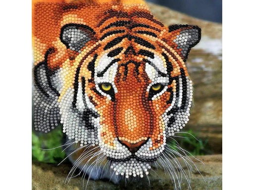 [90048160 1140270] CRAFT Buddy Bastelset Crystal Art Card Tiger
