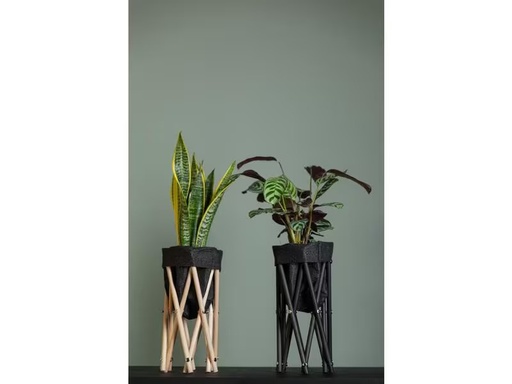 [90289127 1513278] Neogard AG Pflanzenstativ Seda 30, Schwarz