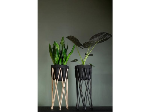 [90289136 1513281] Neogard AG Pflanzenstativ Seda 70, Nature