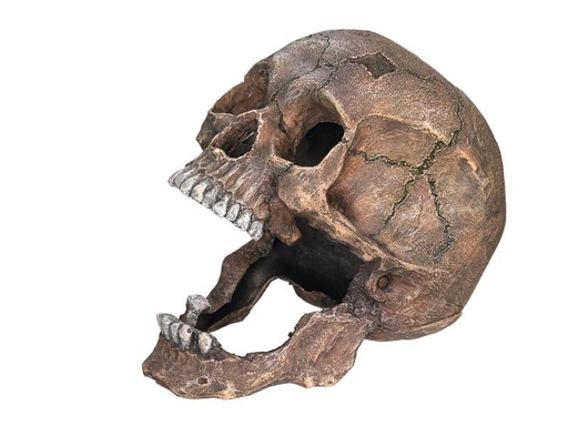 [90289338 1535125] Nobby Aqua Ornaments Totenkopf, 13.5 x 20 x 16.5 cm