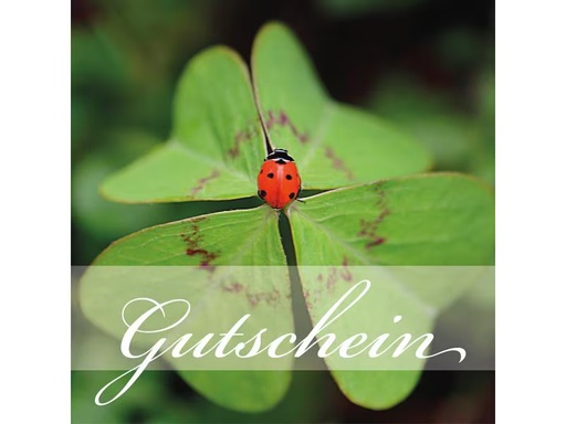 [90296397 1567533] Natur Verlag Gutscheinkarte Marienkäfer 14.5 x 14.5 cm, 6 Stück