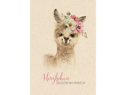 [90296572 1567551] Natur Verlag Geburtstagskarte Lama 17.5 x 12.2 cm