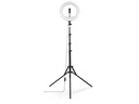 Hama Ringlicht SpotLight Steady 120 II