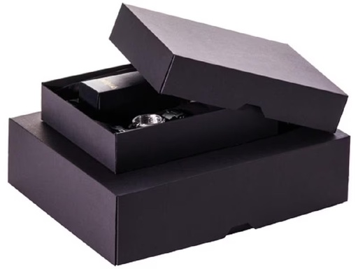 [90299920 1572026] Brieger Versandkarton Ligne Noire 170 x 120 x 55 mm, Schwarz