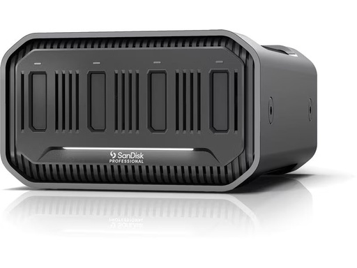 [90300045 1569998] SanDisk Externes Gehäuse PRO Blade Station Systemspezifisch