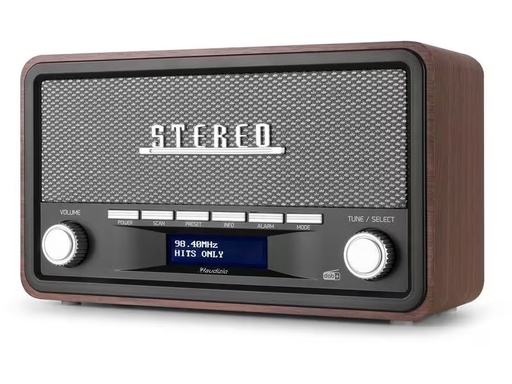 [90300885 1574621] Audizio DAB+ Radio Foggia Grau