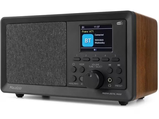 [90300902 1574624] Audizio DAB+ Radio Padova Braun/Schwarz