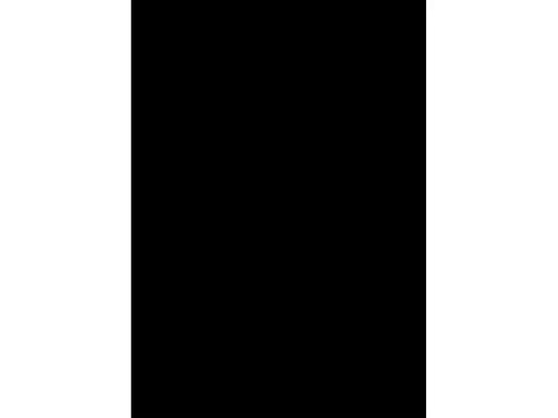 [90049955 1167946] Westcott Hintergrund X-Drop faltenresistent 1.5 x 2 Meter Schwarz
