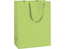 Stewo Geschenktasche One Colour 23 x 13 x 30 cm, Hellgrün