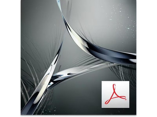 [90304833 1584516] Adobe Acrobat Standard DC Vollversion, Level 2/10-49, 1 Jahr, MP