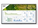 Sony Public Display FW-55BZ30L 55