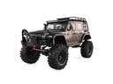 Amewi Scale Crawler AMXRock CT10 Crosstrail Anthrazit, ARTR, 1:10