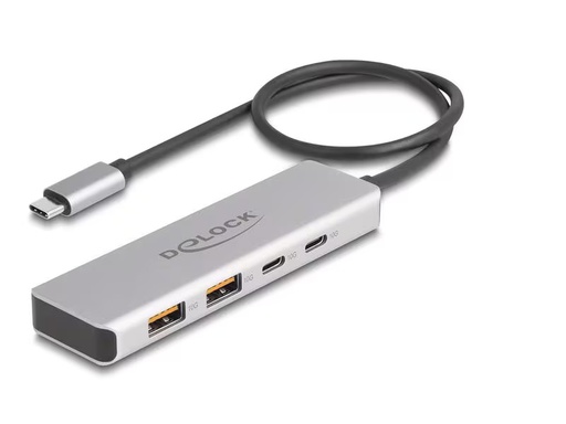[90308859 1605008] Delock USB-Hub 10 Gbps 2 x USB Typ-A und 2 x USB Type-C