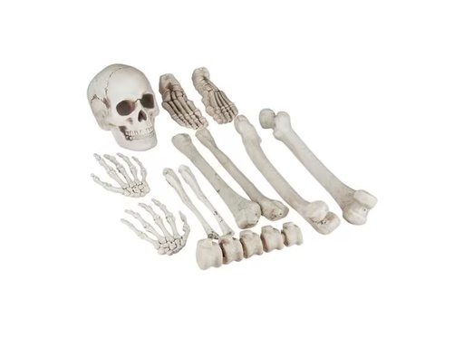 [90310929 1609794] relaxdays Deko-Knochen 12-teiliges Set