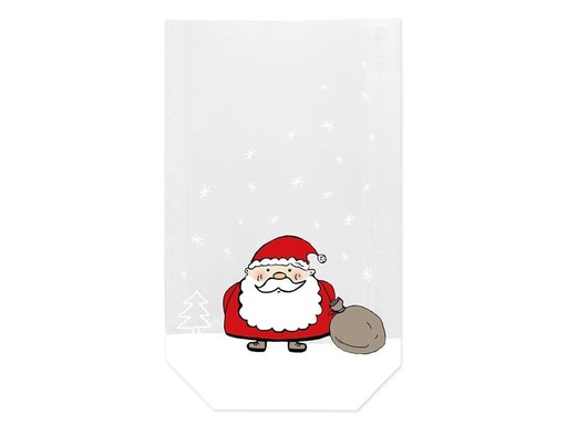 [90311392 1189278] Braun + Company Guetzli-Verpackung Weihnachtsmann 11.5 x 19 cm, 10 Stück
