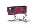 Philips Hue Festavia Lichterkette 40 m 500 LEDs CH