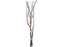Star Trading Zweig Willow Dewdrop, 24 LEDs, 60 cm, Braun