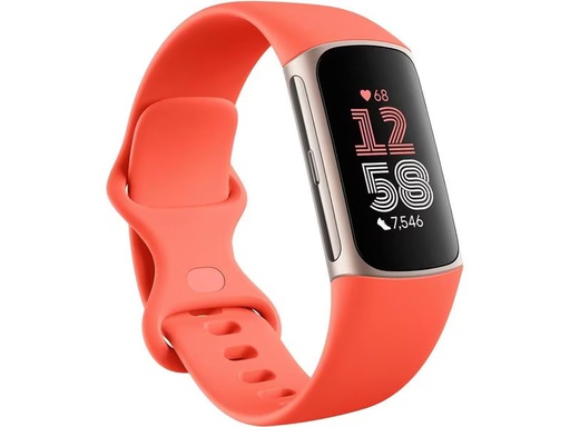 [90318752 1633109] Fitbit Activity Tracker Charge 6