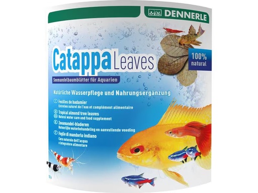 [90319536 1607575] Dennerle Wasserpflege Catappa Leaves, 10 Stück