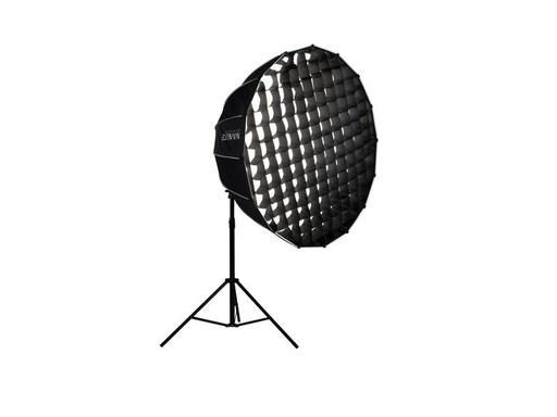 [90321760 1563953] Nanlite Richtgitter EC-PR-120