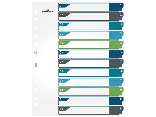 [90325686 1644151] DURABLE Register A4+, 1-12, 5-farbig