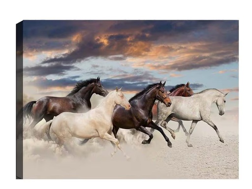 [90325744 1642136] Wallxpert Bild Pferde 50 x 70 cm