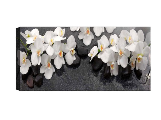 [90325760 1642130] Wallxpert Bild Orchideen 30 x 80 cm