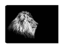 Wallxpert Bild Löwe 50 x 70 cm