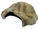 Repto Deco Cave M, 22 x 17 x 9.5 cm