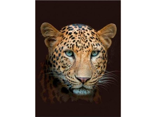 [90326686 1637773] Hubatka Decke Leopard 150 x 200 cm, Braun