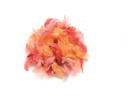 Glorex Federn Deco Rot