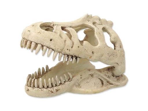 [90334678 1643364] Repti Planet Dekoschädel T-Rex