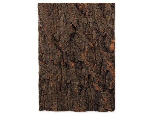 [90334692 1643450] Repti Planet Kork-Rück Wand 19 x 27.3 x 2 cm