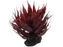 Repti Planet Sukulent Agave Red, 18 cm