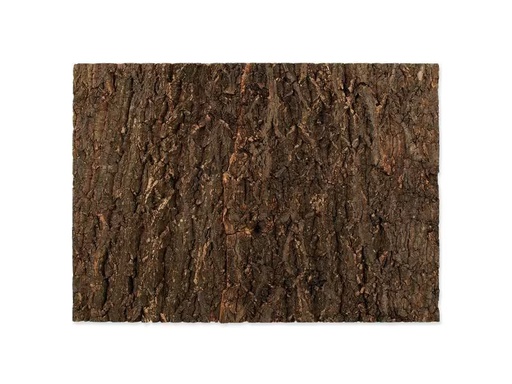 [90334815 1643443] Repti Planet Kork-Rück Wand 58.5 x 41 x 2 cm