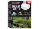 Repti Planet Terrarienlampe Daylight Frosted 75 W