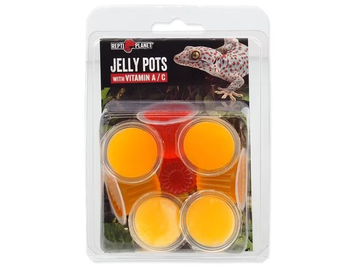 [90335042 1643360] Repti Planet Gelee-Töpfe, Frucht, 8 Stück
