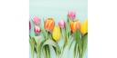 Braun + Company Papierservietten Rainbow Tulips 33 cm x 33 cm, 20 Stück