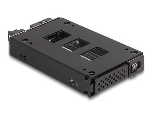 [90337557 1686955] Delock Wechselrahmen U.2 NVMe 2.5