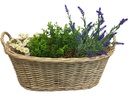 Dameco Kunstblume Lavendel und Kamille im Korb, 40 x 54 x 24 cm