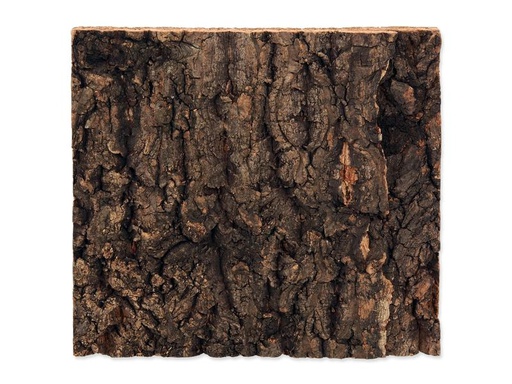 [90339138 1643449] Repti Planet Kork-Rück Wand 19 x 17.3 x 2 cm